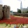 Wordless Wednesday - Tower of London Poppies, placed by volunteers to commemorate the centenary of World War 1